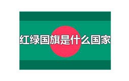 红绿国旗是什么国家
