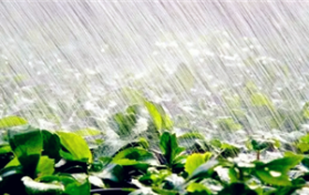 2024年春分有雨怎么样图2