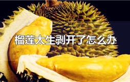 榴莲太生剥开了怎么办