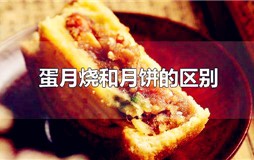 蛋月烧月饼是什么意思 蛋月烧月饼是什么
