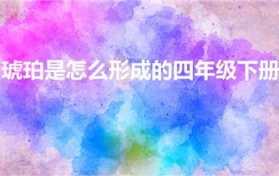 琥珀是怎么形成的四年级下册（琥珀的形成过程是什么四年级）