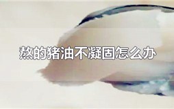 熬的猪油不结冻怎么办 熬的猪油不凝固怎么办