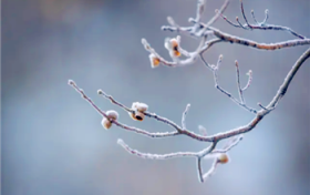 2024年腊月是公历几月份图2