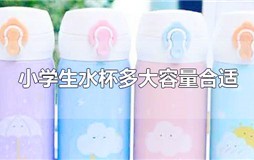 给小学生买多大容量的水杯 小学生保温杯买多大容量合适