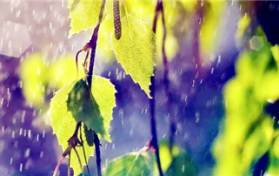 2024年上海梅雨季节是几月份图2