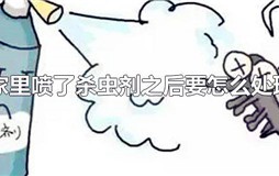 家里喷了杀虫剂之后要怎么处理