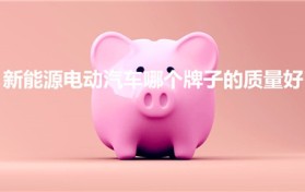 新能源电动汽车哪个牌子的质量好（新能源汽车哪个牌子最好）