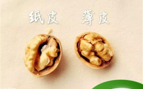 核桃里边的薄皮功效（核桃薄皮的健康益处）