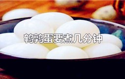 鹌鹑蛋要多久才能熟？鹌鹑蛋需要多久能熟