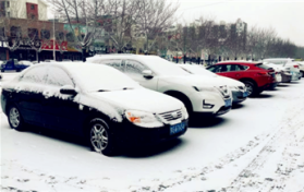 下雪天车子停在室外被树砸了谁的责任图2