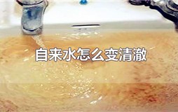 自来水怎么变清澈