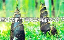 焯过水的竹笋放冰箱能放多久