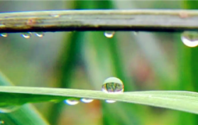 2024年北方是旱年还是涝年图1