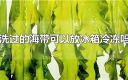 洗过的海带可以放冰箱冷冻吗