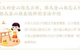 狼爪的登山鞋如何，狼爪登山鞋如何