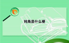近期网络用语钝角代表什么意思（近期网络用语“钝角”的内涵）