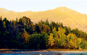 2024年五月份去新疆冷不冷图1