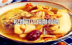 松茸可以炖排骨吗