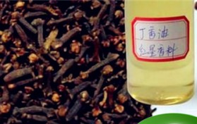 钓鱼的饵料配方？钓鱼的饵料配方？图2