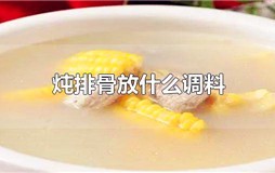 炖排骨放什么调料