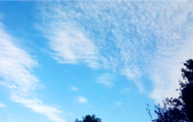 2024年3月份是否存在强冷空气图2