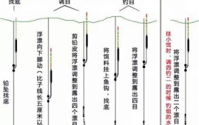 蚯蚓钓鱼调漂图解？蚯蚓钓鱼怎么调漂-钓几目才到底？