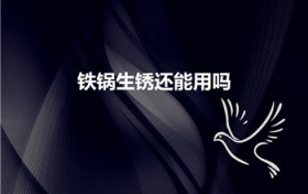铁锅生锈还能用吗（铁锅生锈可以用吗）