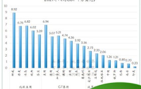 什么叫金砖国家（什么是金砖国家 是指那几个国家）图3