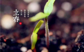 2024年打春是白天还是晚上图2