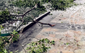 冻雨路面会结冰吗图1