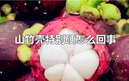 山竹壳特别硬怎么回事