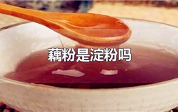 藕粉的主要成分是淀粉吗 藕粉是不是淀粉
