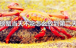 螃蟹当天不吃怎么放到第二天