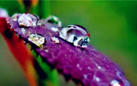 2024年上海梅雨季节是几月份图3