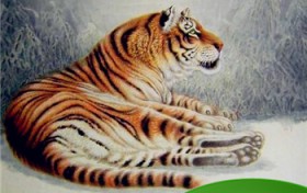 名扬四海的3大生肖是什么？三山岛的资源利用与保护？