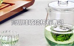 高硼硅玻璃杯有毒吗