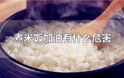 煮米饭加油有什么作用？煮米饭时加点油好不好