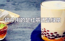 奶茶一般用红茶还是绿茶？奶茶里面使用的是红茶还是绿茶