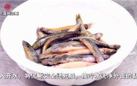 泥鳅为什么怕盐（为什么泥鳅对盐敏感？）