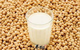 为什么减肥期间不能喝豆浆（减肥期间不宜饮用豆浆）
