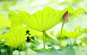 今年夏天入伏是几月几号2024图3