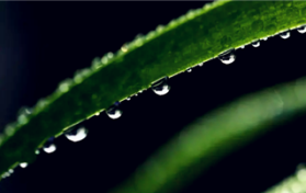 2024年是最热门的一年吗图2