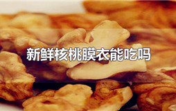 新鲜核桃膜衣能吃吗