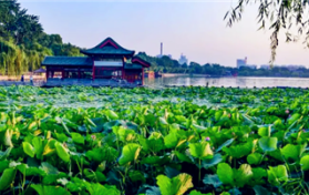 2024年夏天温度高为何湿度大图2