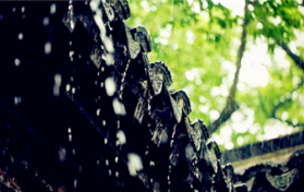 2024年上海梅雨季节是几月份图1