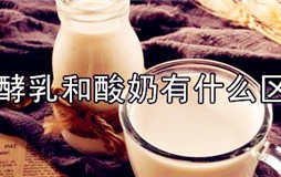 发酵乳和酸奶一样吗 发酵乳和酸奶饮品的区别