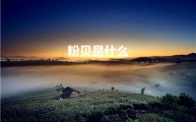 粉贝是什么（起源、特点和制作方法）