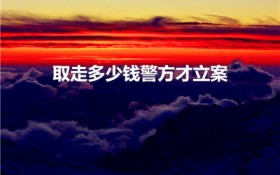 取走多少钱警方才立案（盗取多少钱才可以立案）