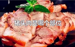猪头肉是哪个部位