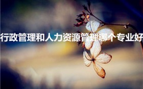 行政管理和人力资源管理哪个专业好